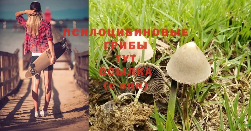 Галлюциногенные грибы Psilocybe  omg зеркало  Верхняя Салда  хочу наркоту 